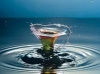 PAROLES D'EAUX (creation)